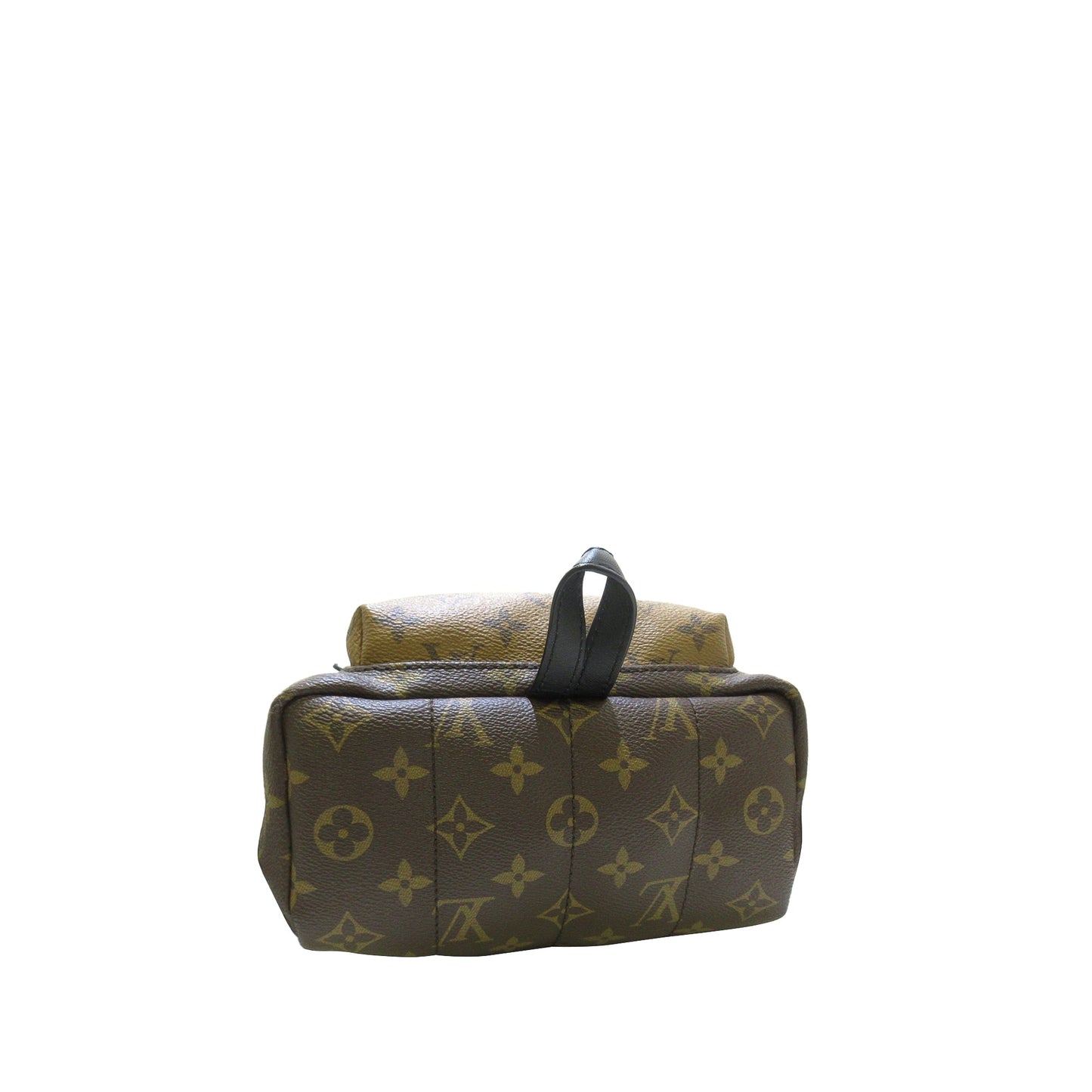 Louis Vuitton Palm Springs Backpack PM Monogram Reverse