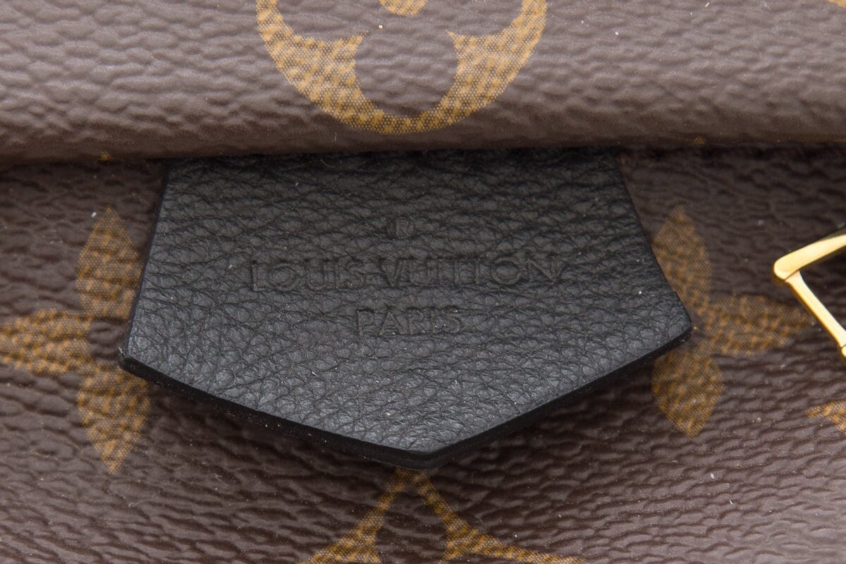 Louis Vuitton Brown Monogram Palm Springs Mini Backpack