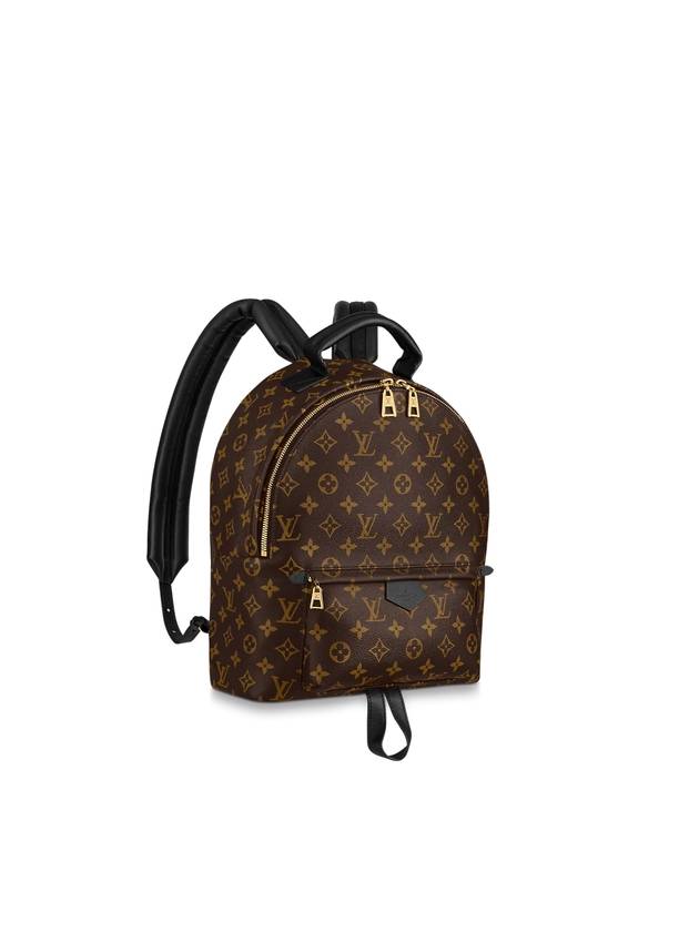 Palm Springs MM Backpack Monogram Brown