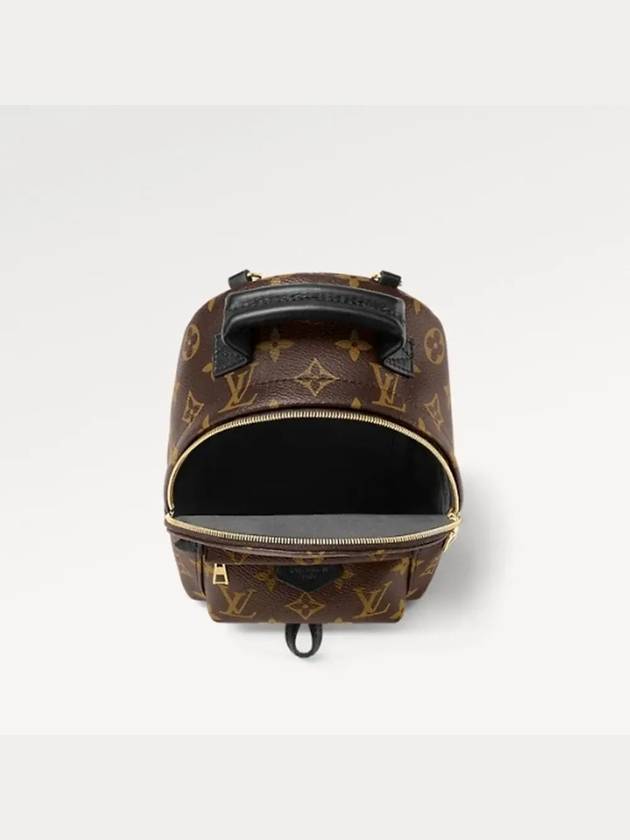 Palm Springs Monogram Mini Backpack Brown