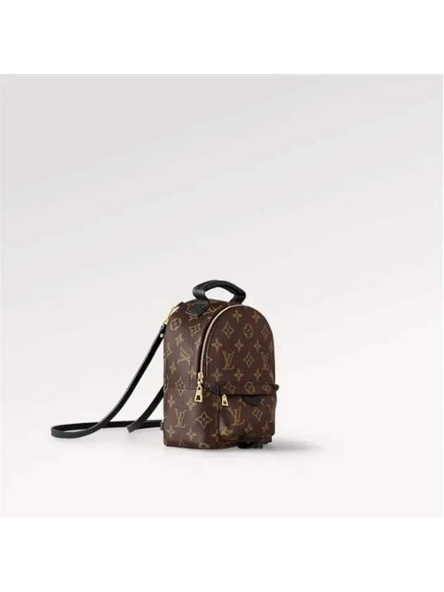 Palm Springs Backpack Mini M44873