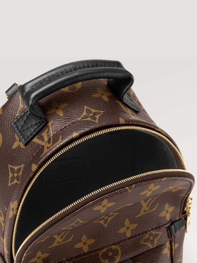 Palm Springs Monogram Mini Backpack Brown