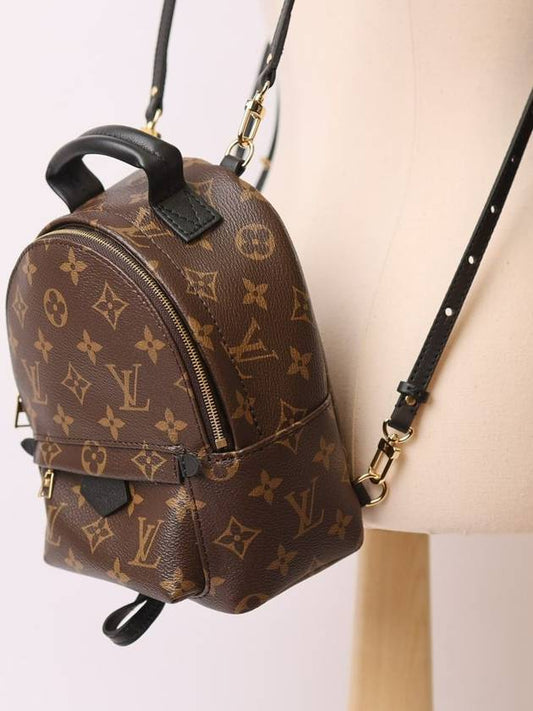 Palm Springs Monogram Mini Backpack Brown