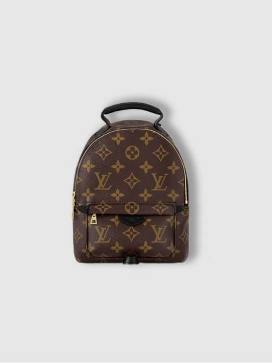 Palm Springs Monogram Mini Backpack Brown