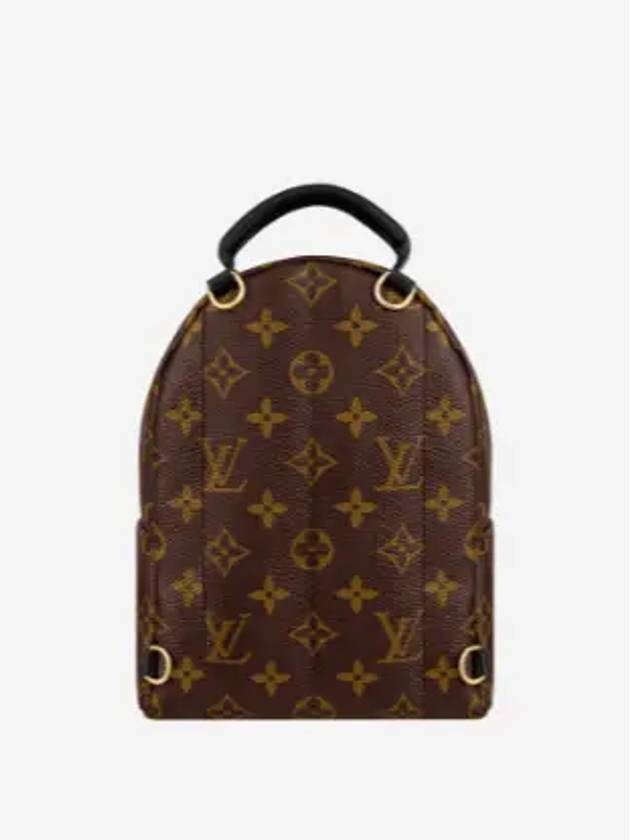 Palm Springs Monogram Mini Backpack Brown