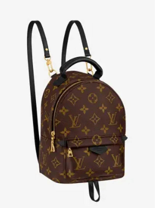 Palm Springs Monogram Mini Backpack Brown