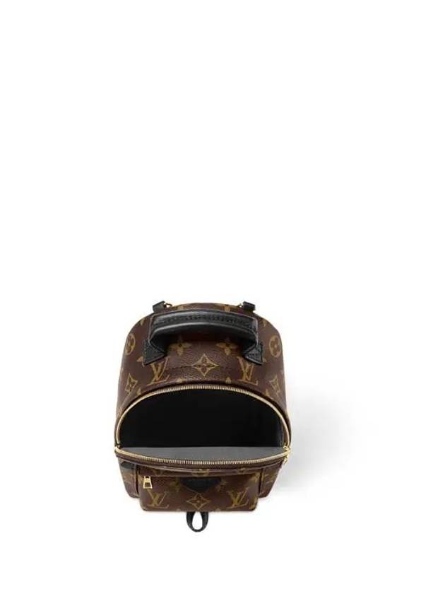 Palm Springs Monogram Mini Backpack Brown