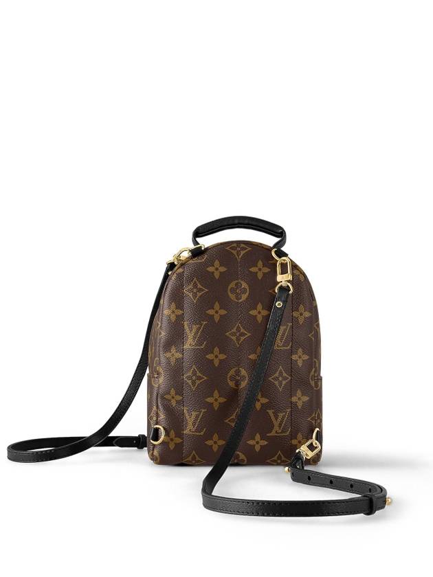 Palm Springs Monogram Mini Backpack Brown