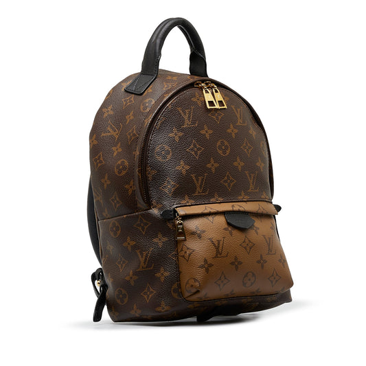 Louis Vuitton Palm Springs Backpack PM Monogram Reverse