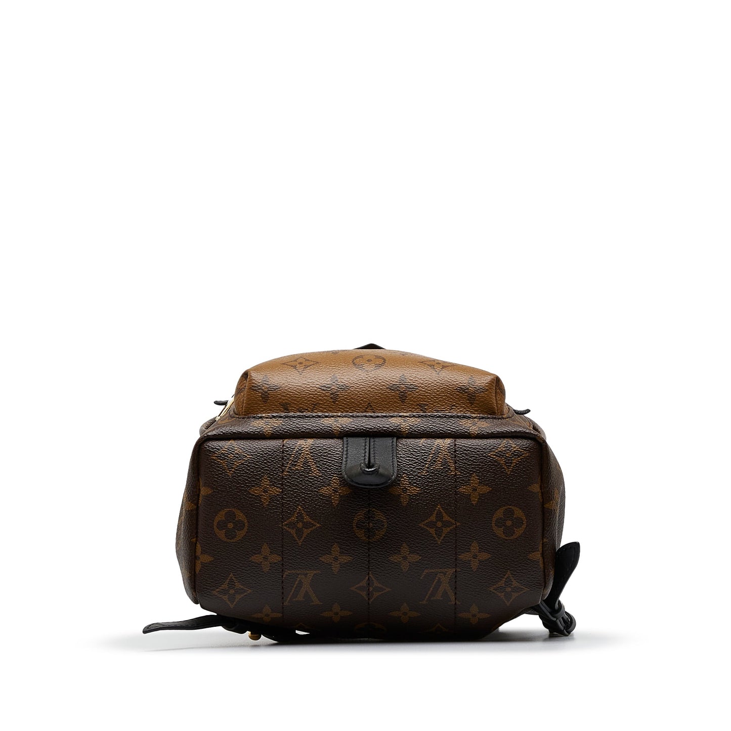 Louis Vuitton Palm Springs Backpack PM Monogram Reverse