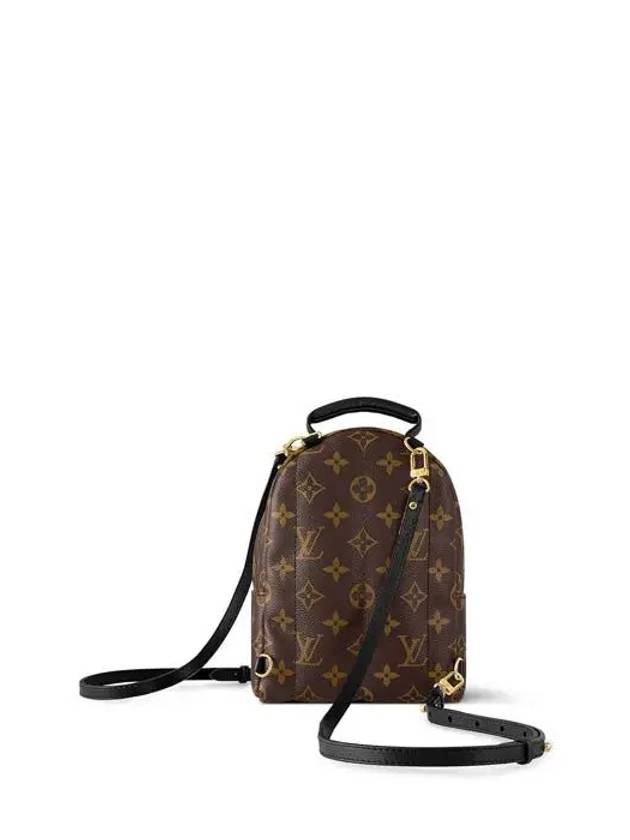 Palm Springs Monogram Mini Backpack Brown