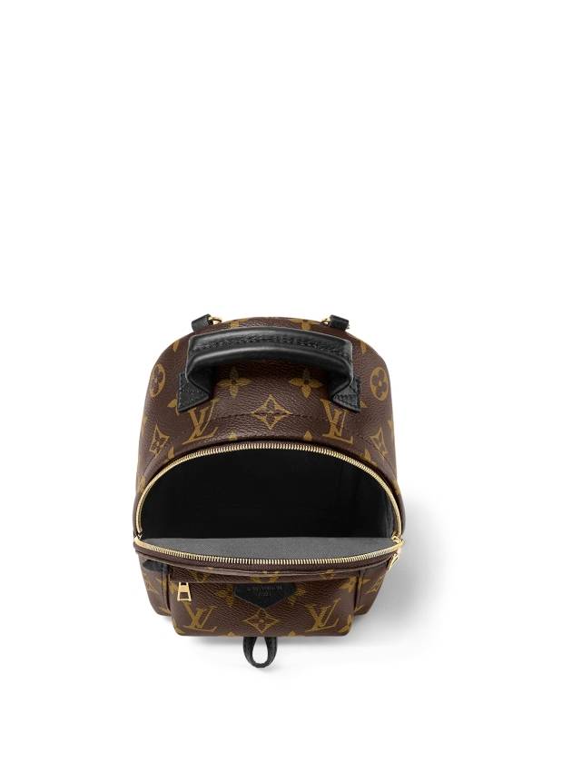 Palm Springs Monogram Mini Backpack Brown