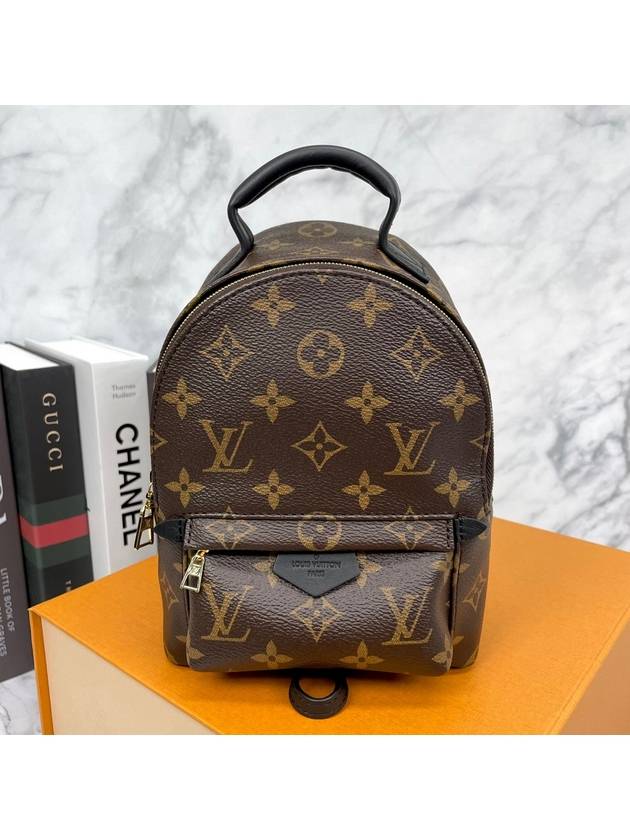 Palm Springs Monogram Mini Backpack Brown