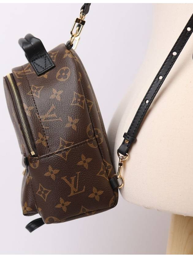 Palm Springs Monogram Mini Backpack Brown