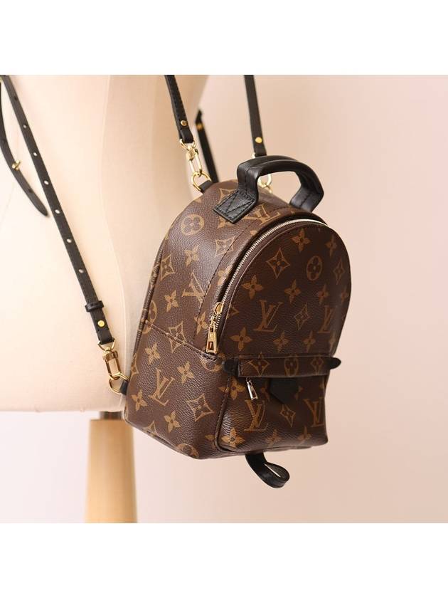 Palm Springs Monogram Mini Backpack Brown