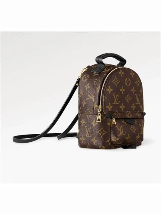 Palm Springs Monogram Mini Backpack Brown