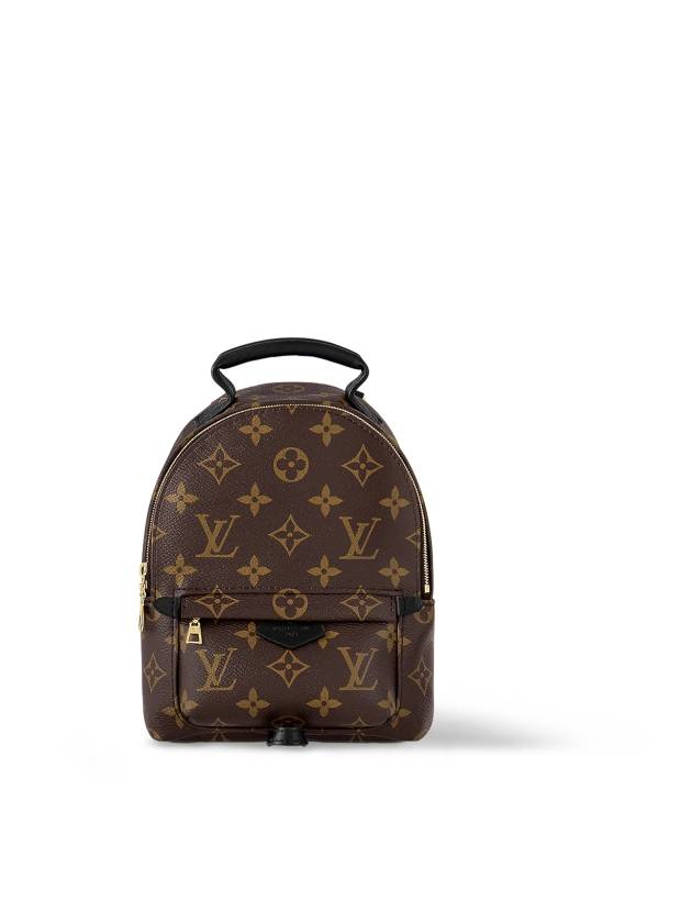 Palm Springs Monogram Mini Backpack Brown