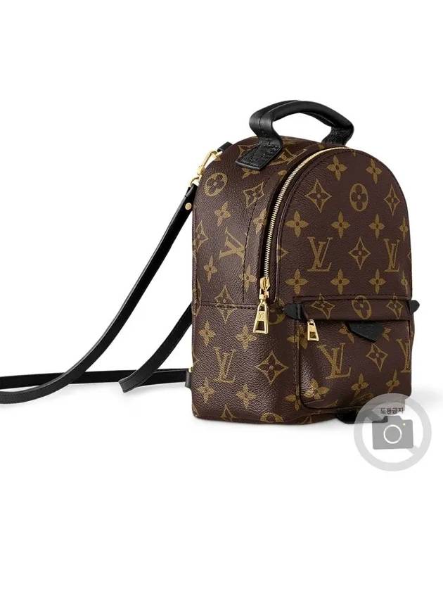 Palm Springs Monogram Mini Backpack Brown