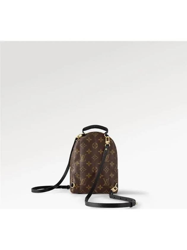 Palm Springs Monogram Mini Backpack Brown