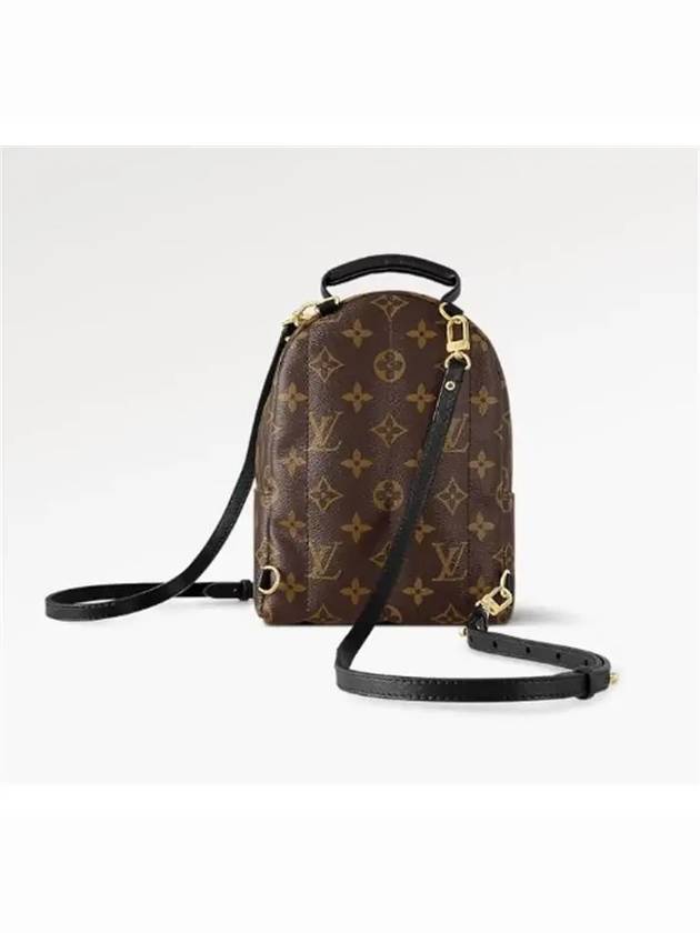 Palm Springs Monogram Mini Backpack Brown