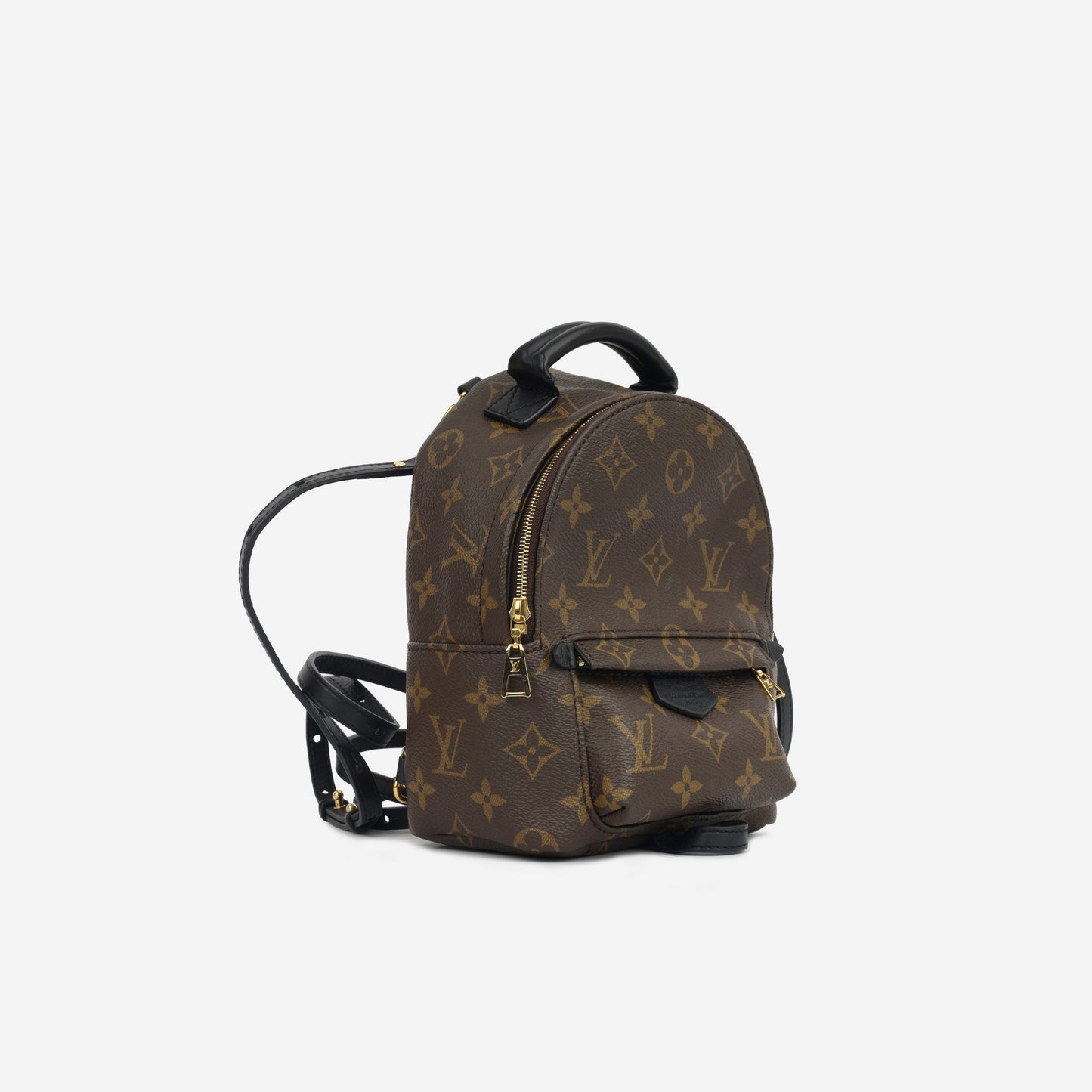 Mini Palm Springs Backpack