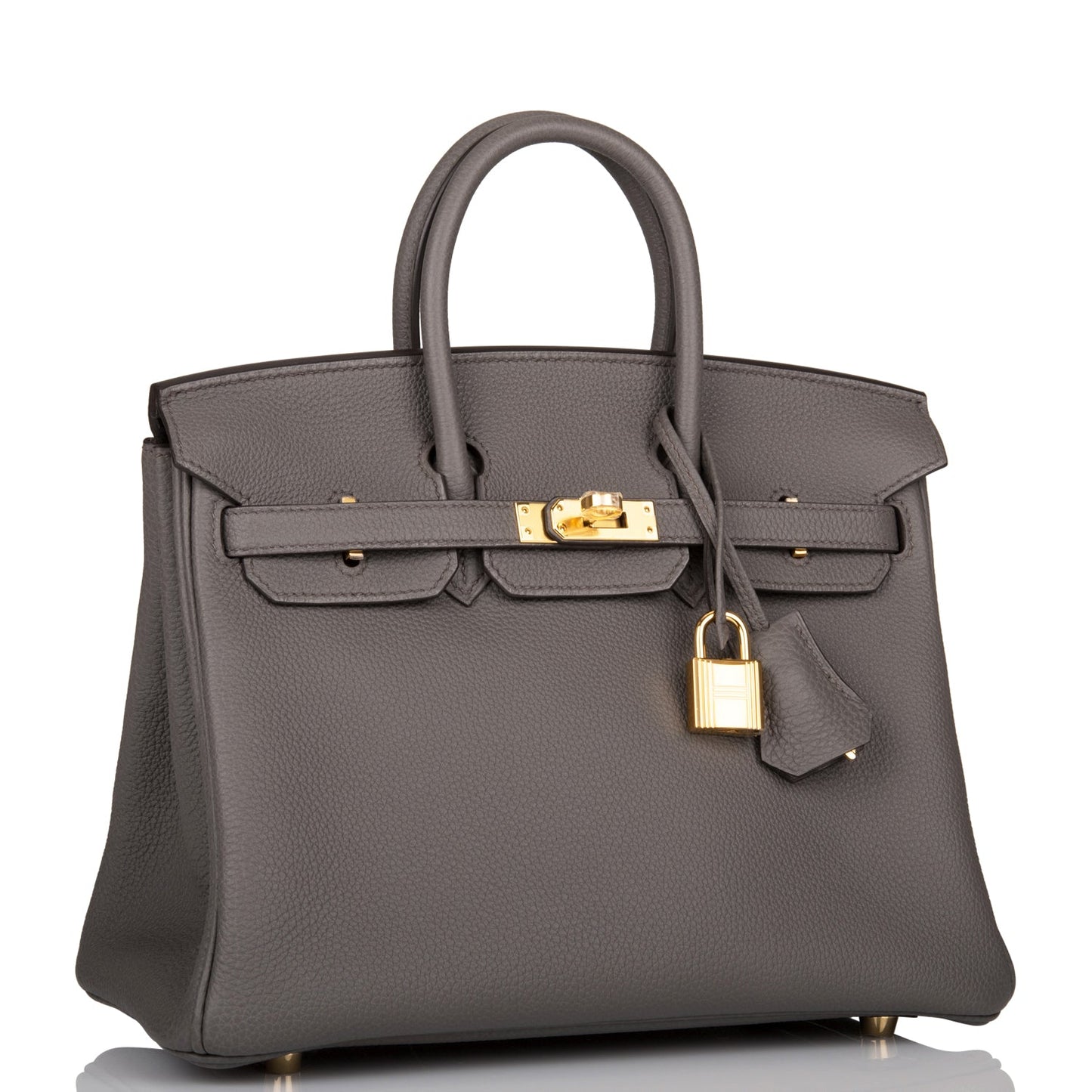 Hermes Birkin 25 Etain Togo Gold Hardware