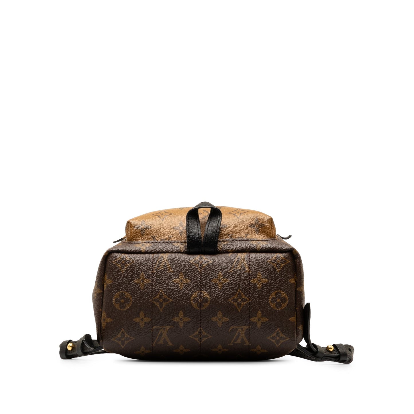 Brown Louis Vuitton Monogram Reverse Palm Springs PM Backpack