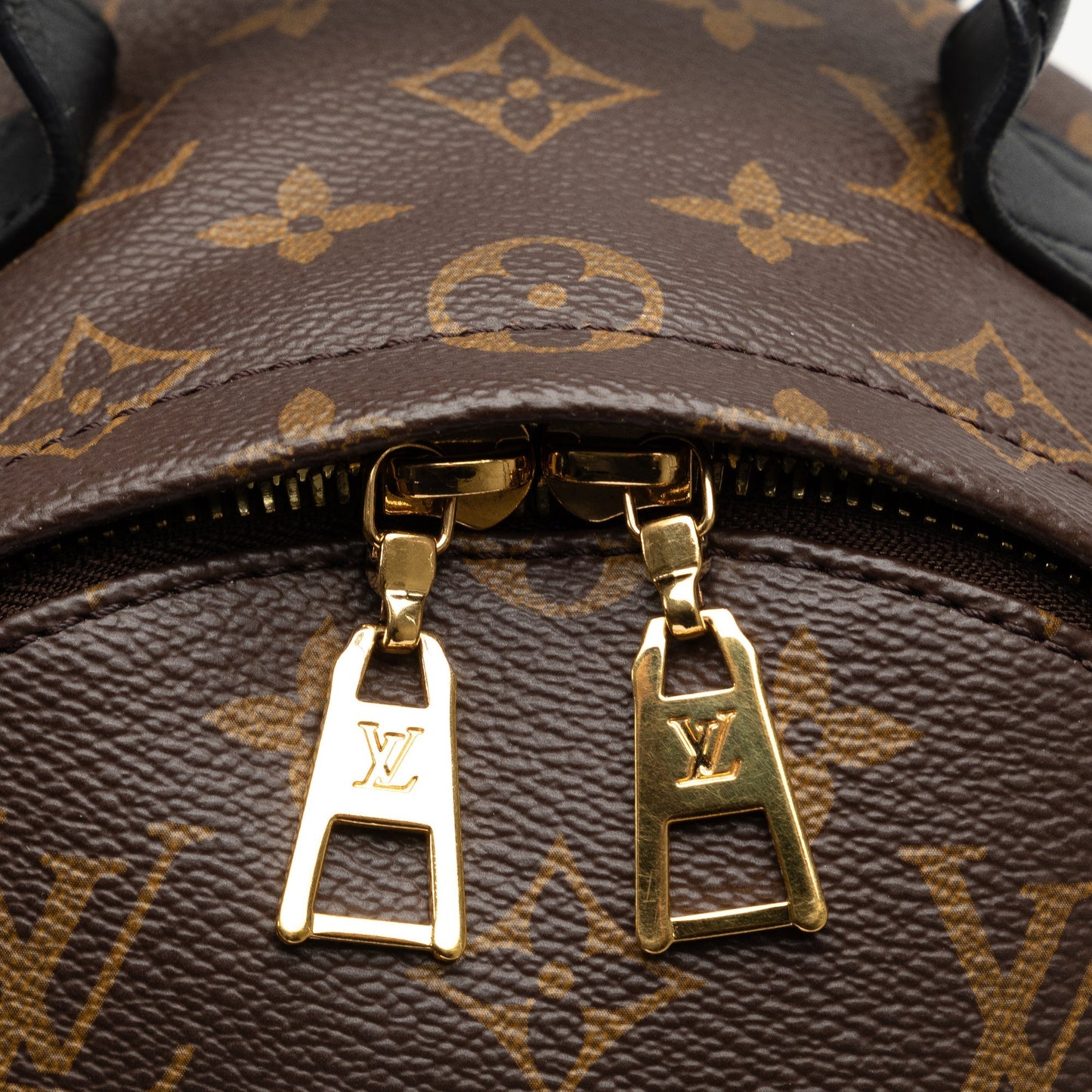 Brown Louis Vuitton Monogram Reverse Palm Springs PM Backpack