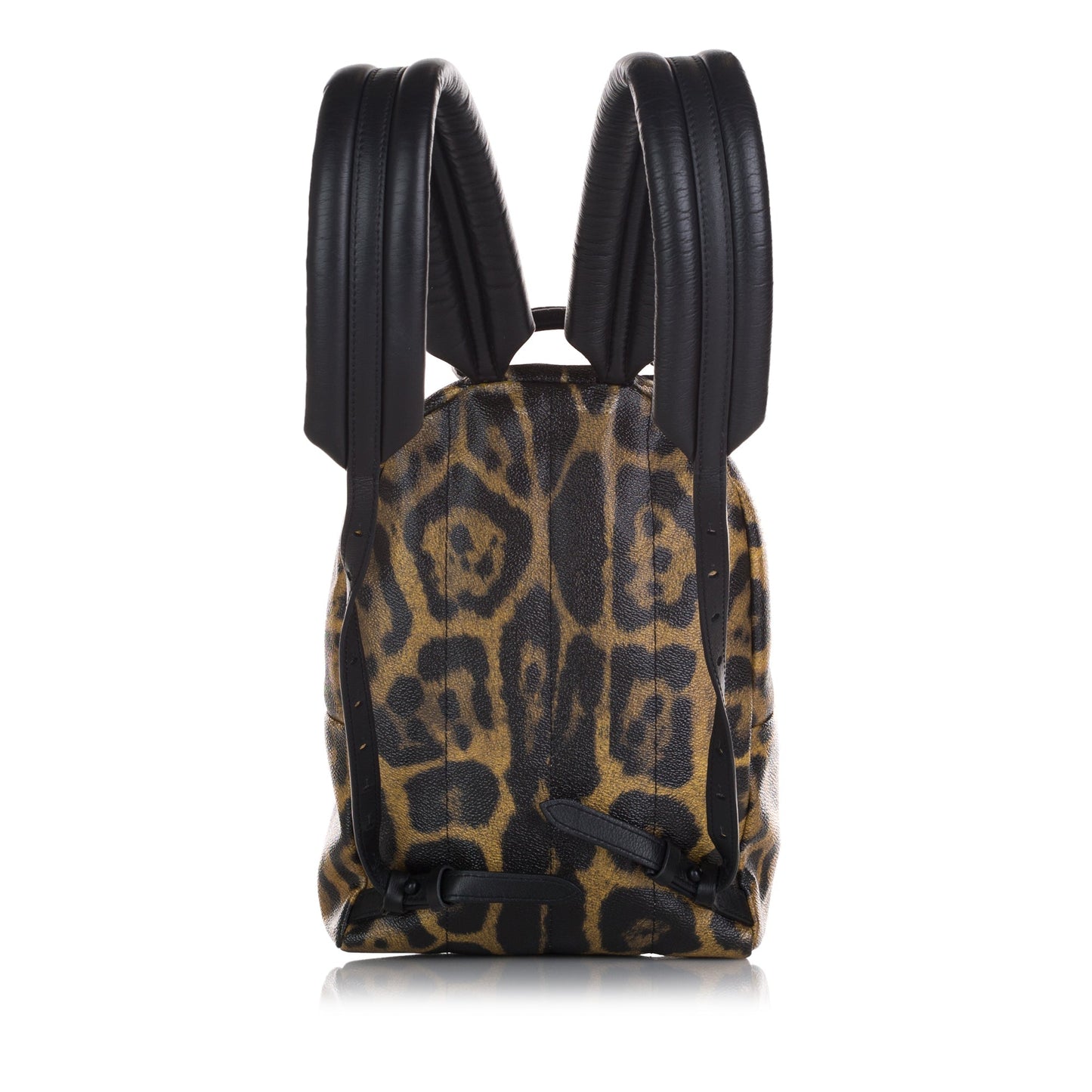 Brown Louis Vuitton Wild Animal Palm Springs PM Backpack