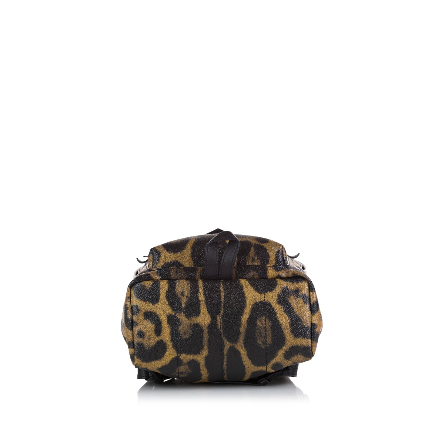 Brown Louis Vuitton Wild Animal Palm Springs PM Backpack