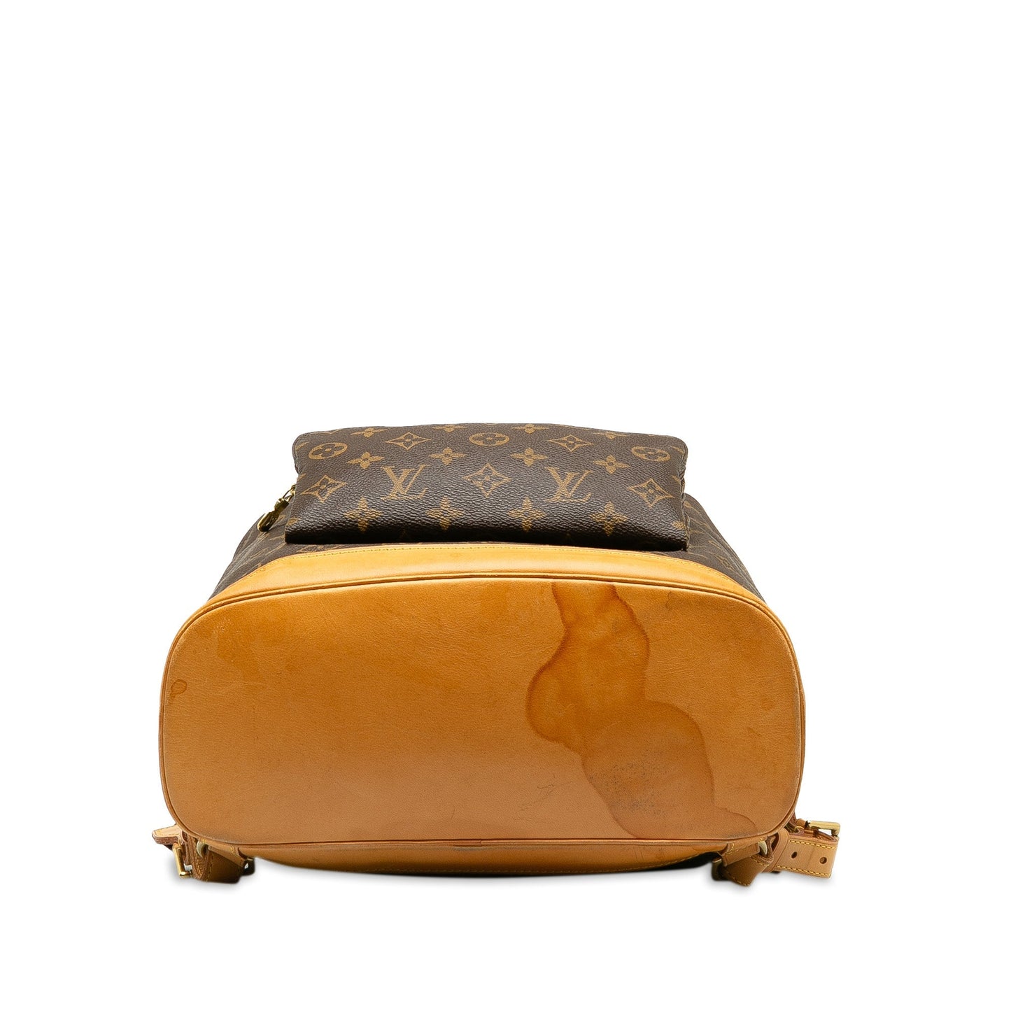 Brown Louis Vuitton Monogram Montsouris GM Backpack