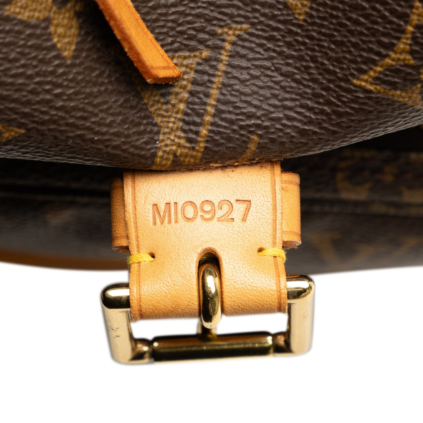 Brown Louis Vuitton Monogram Montsouris GM Backpack