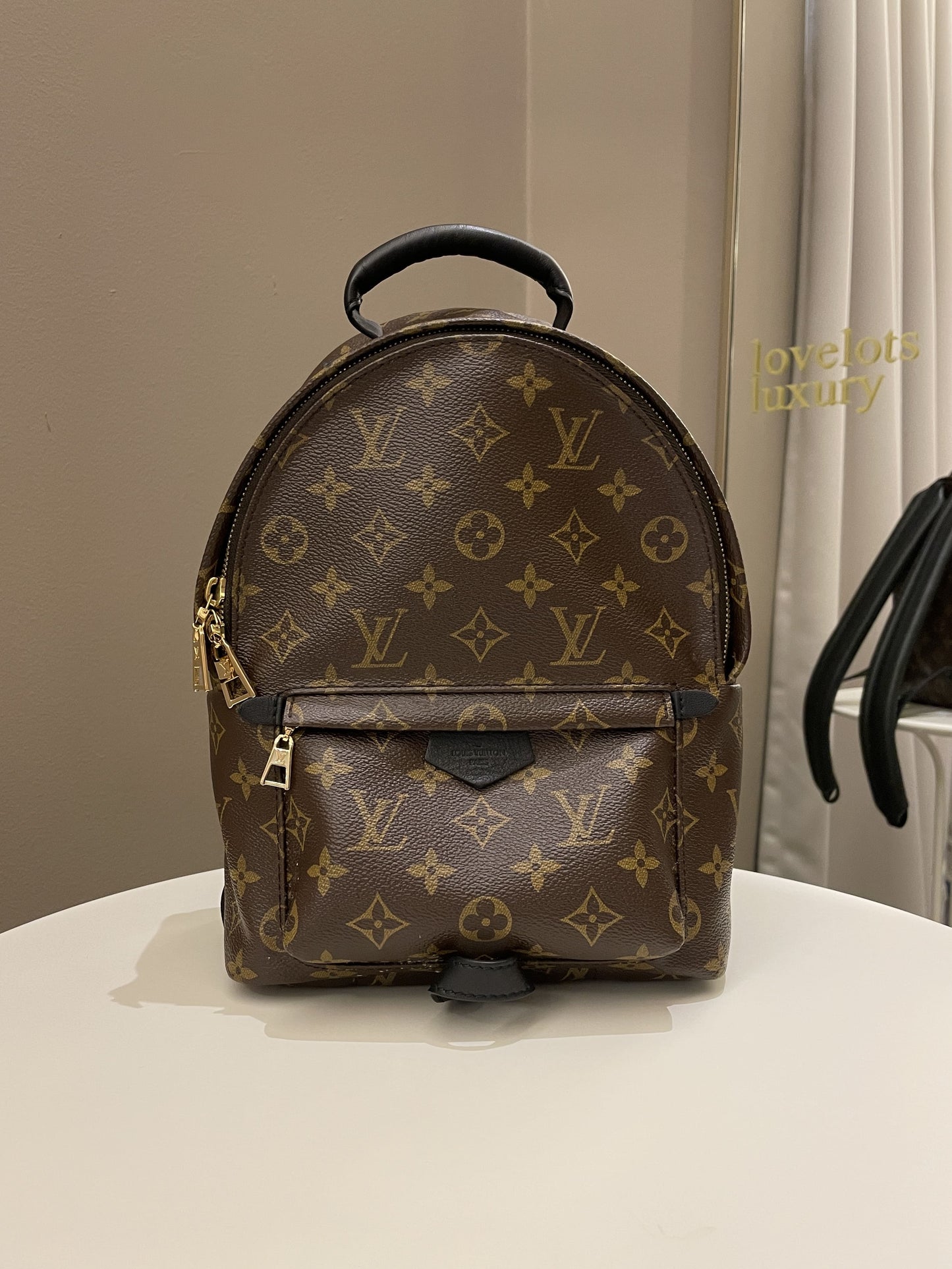 Louis Vuitton Palm Spring Backpack Classic Monogram