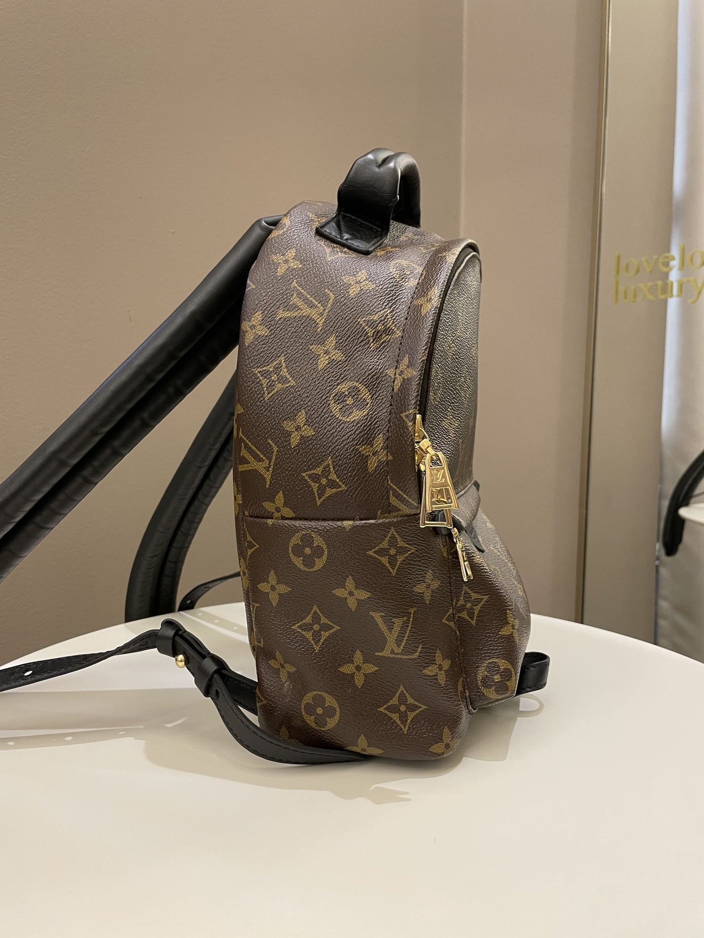 Louis Vuitton Palm Spring Backpack Classic Monogram