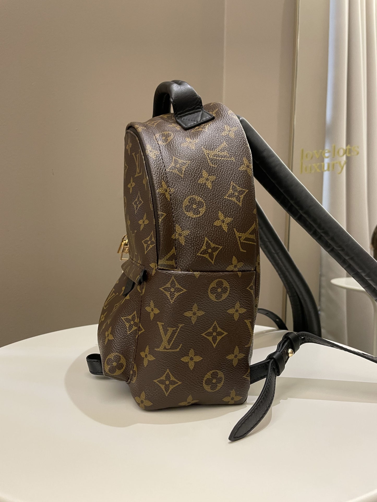 Louis Vuitton Palm Spring Backpack Classic Monogram