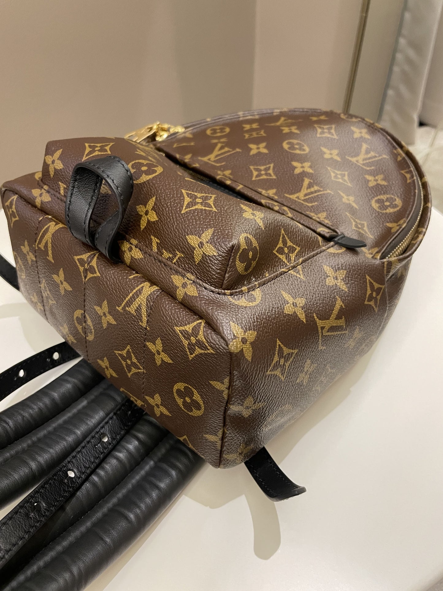 Louis Vuitton Palm Spring Backpack Classic Monogram