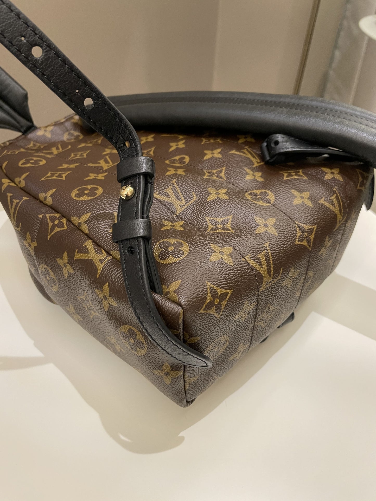 Louis Vuitton Palm Spring Backpack Classic Monogram