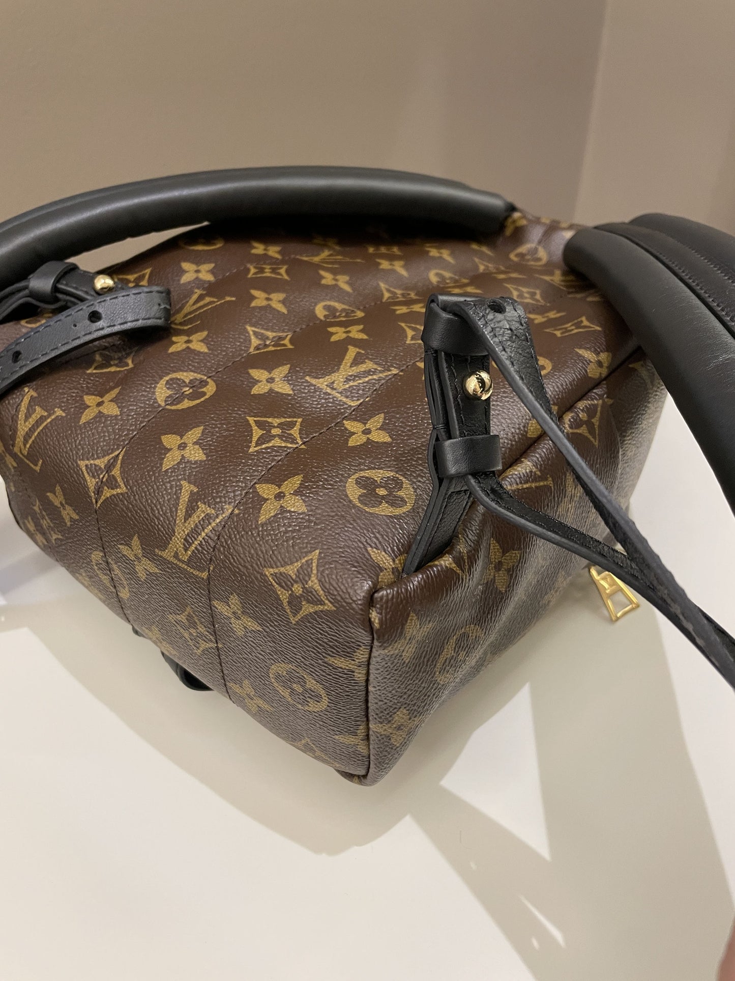 Louis Vuitton Palm Spring Backpack Classic Monogram