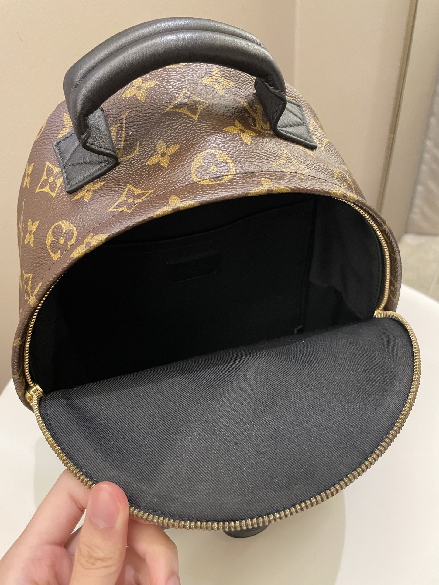 Louis Vuitton Palm Spring Backpack Classic Monogram