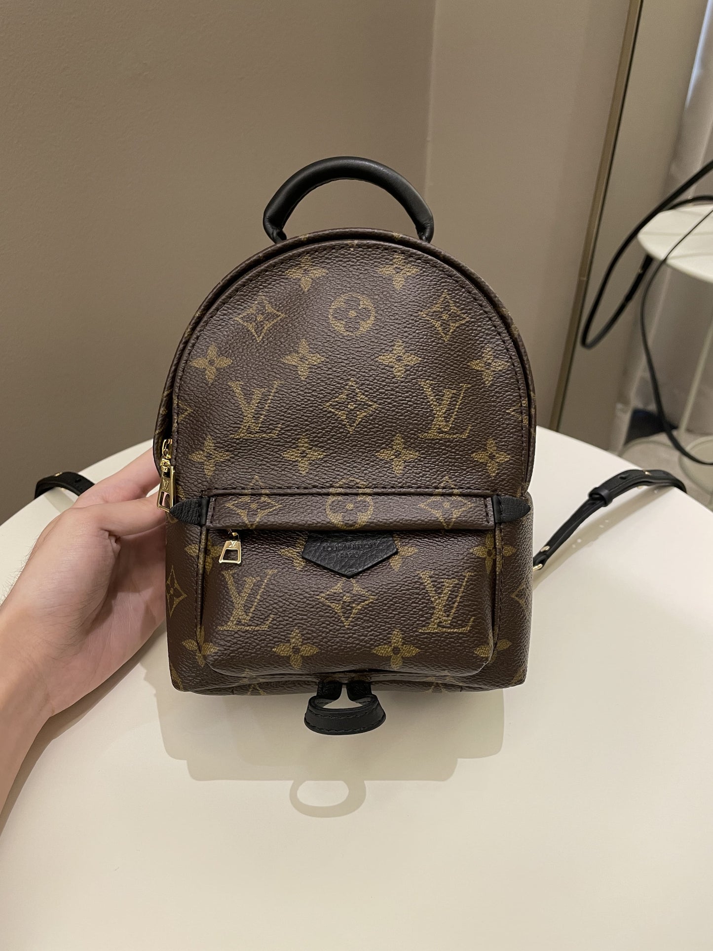 Louis Vuitton Palm Spring Mini Backpack Classic Monogram