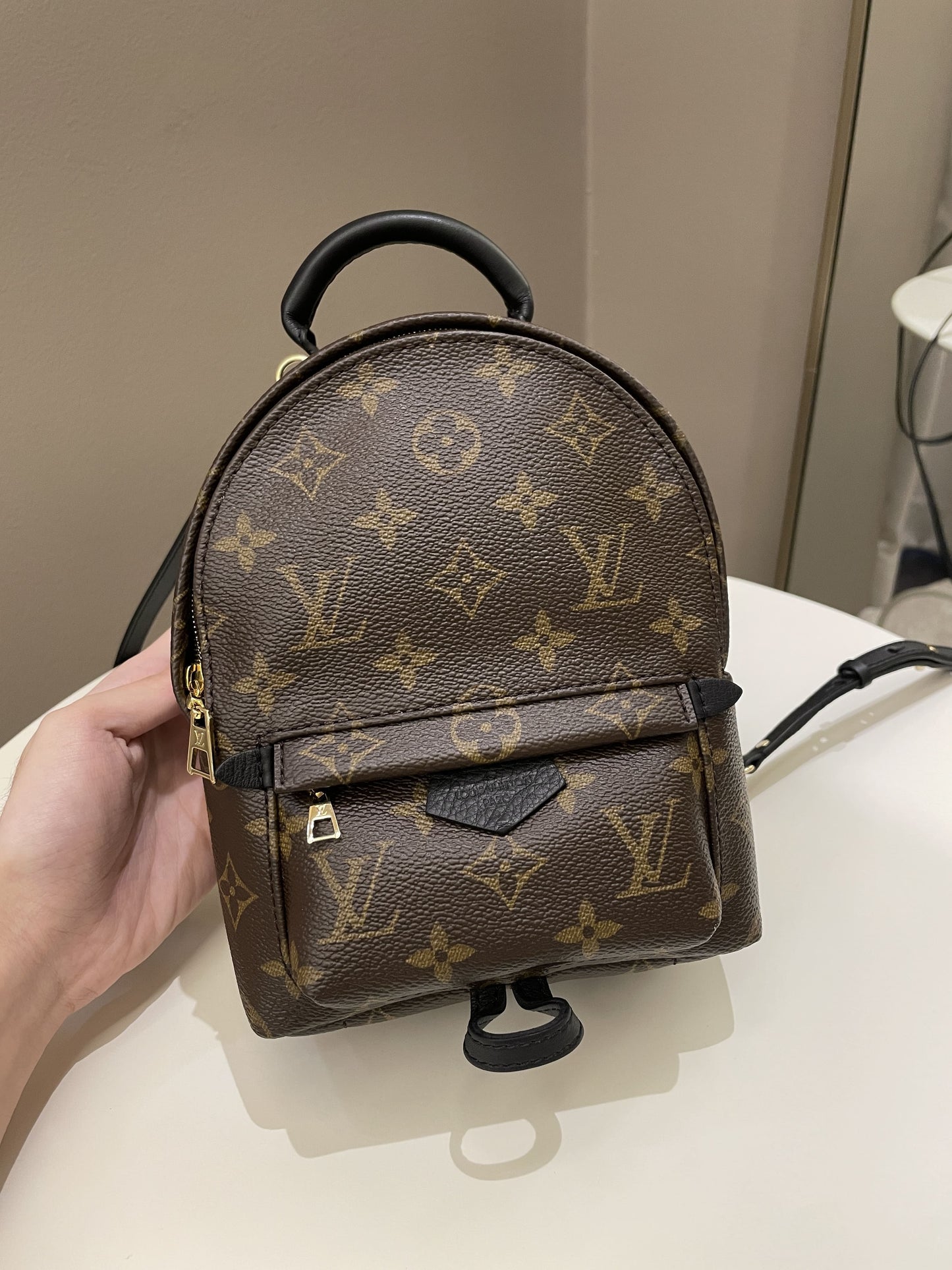 Louis Vuitton Palm Spring Mini Backpack Classic Monogram