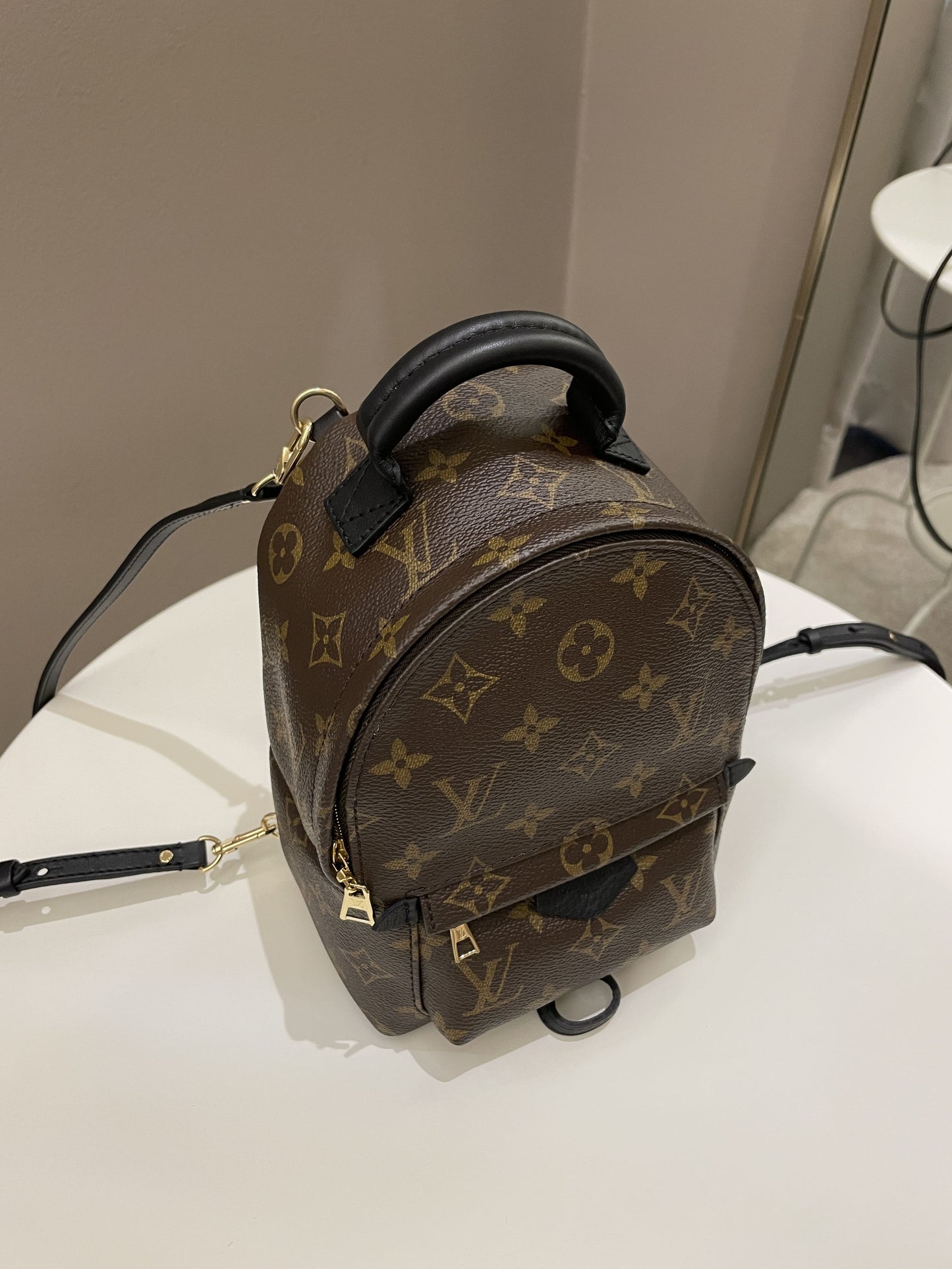 Louis Vuitton Palm Spring Mini Backpack Classic Monogram