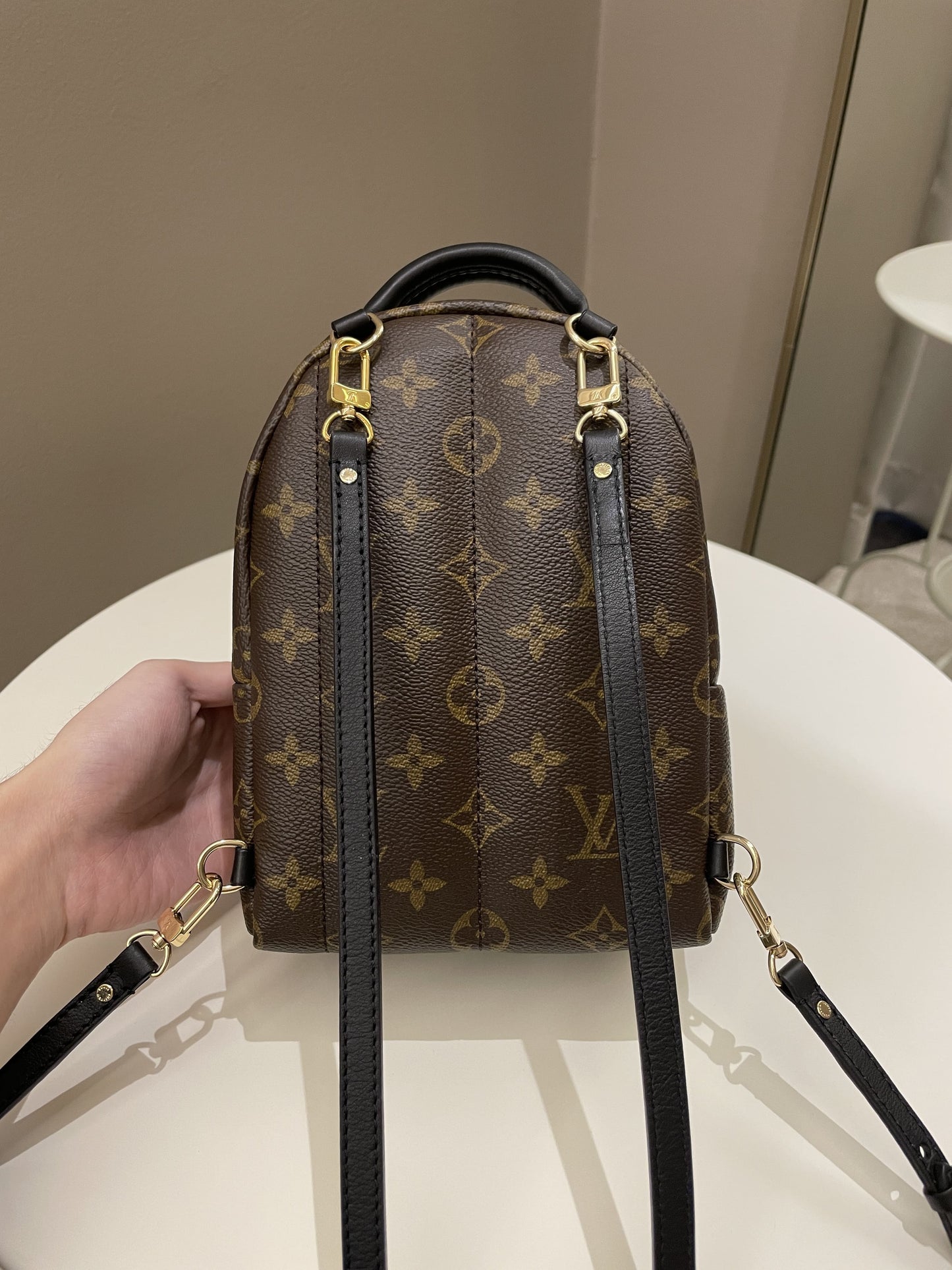 Louis Vuitton Palm Spring Mini Backpack Classic Monogram