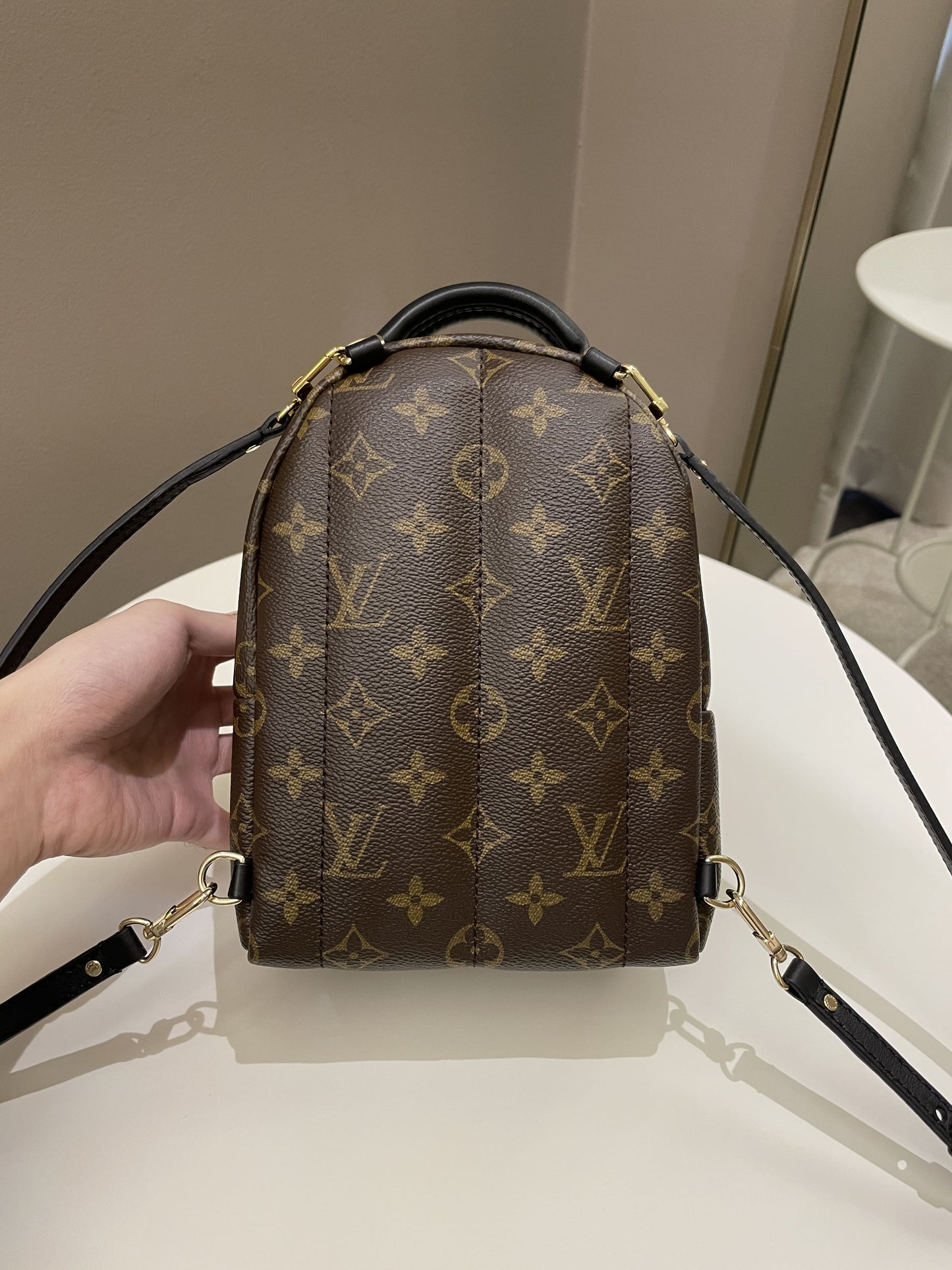 Louis Vuitton Palm Spring Mini Backpack Classic Monogram