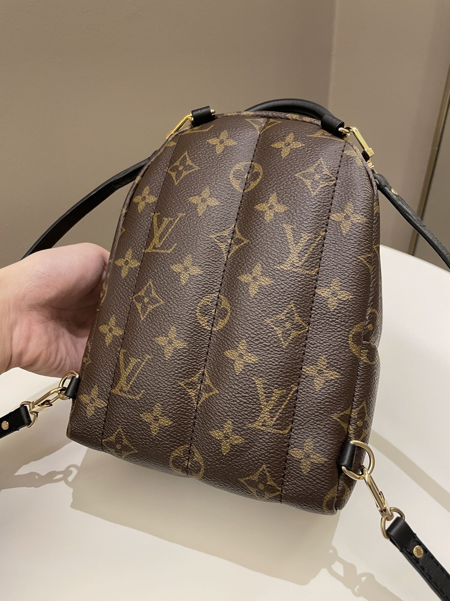 Louis Vuitton Palm Spring Mini Backpack Classic Monogram