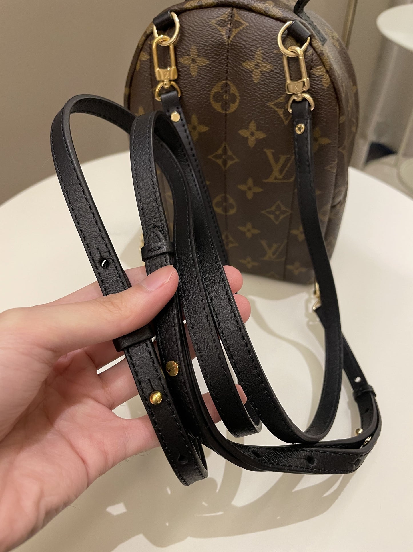 Louis Vuitton Palm Spring Mini Backpack Classic Monogram