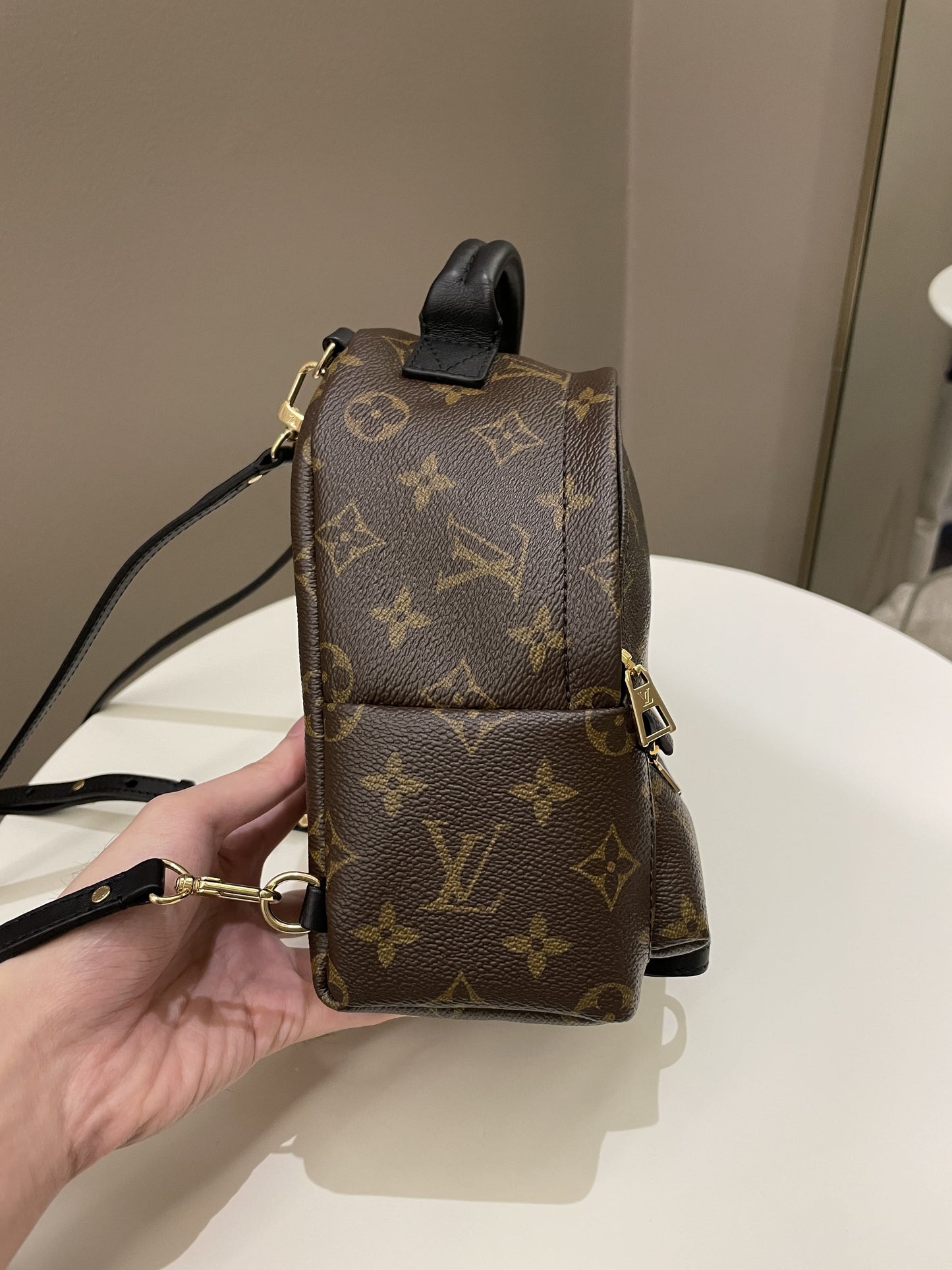 Louis Vuitton Palm Spring Mini Backpack Classic Monogram