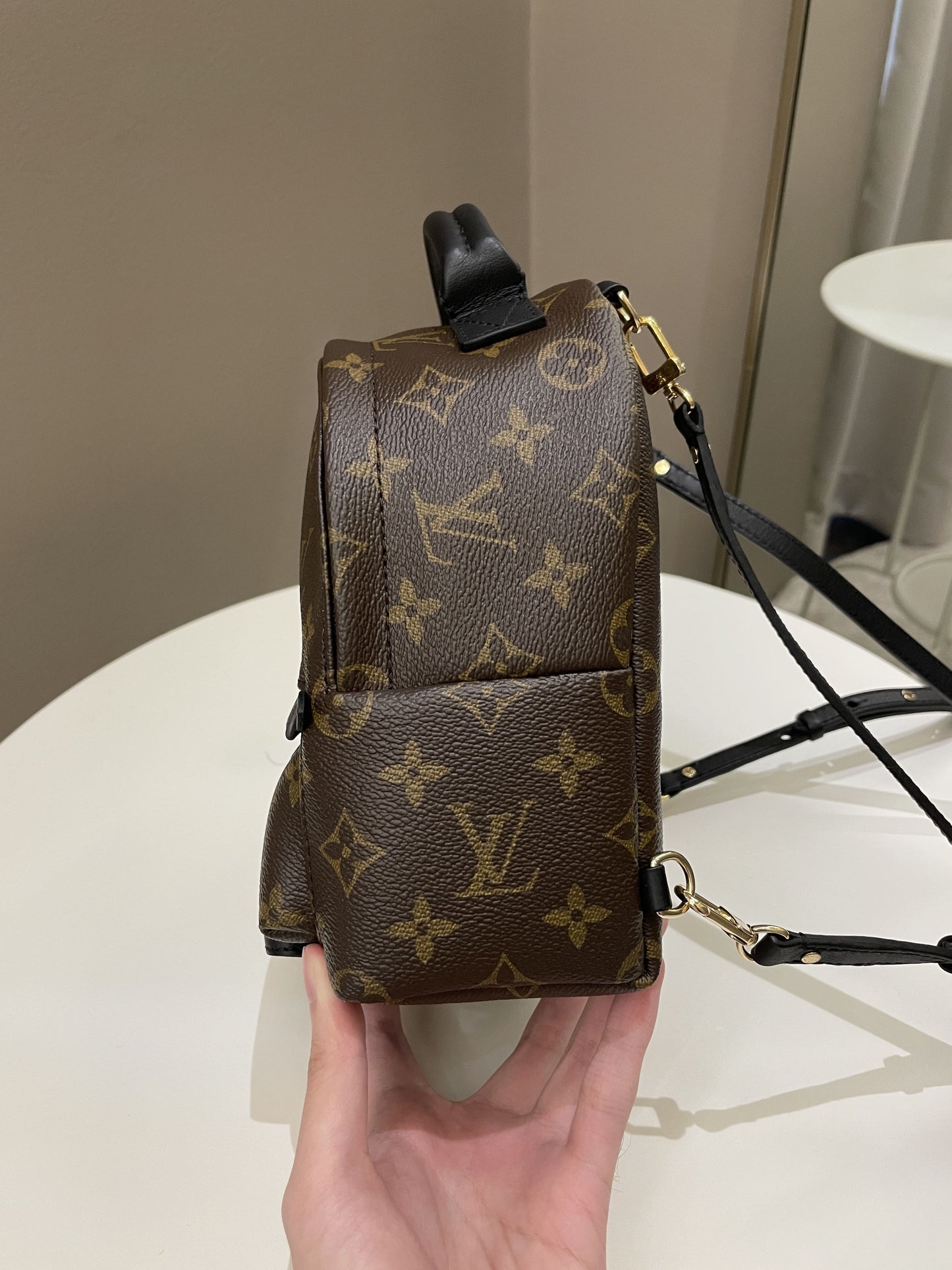 Louis Vuitton Palm Spring Mini Backpack Classic Monogram