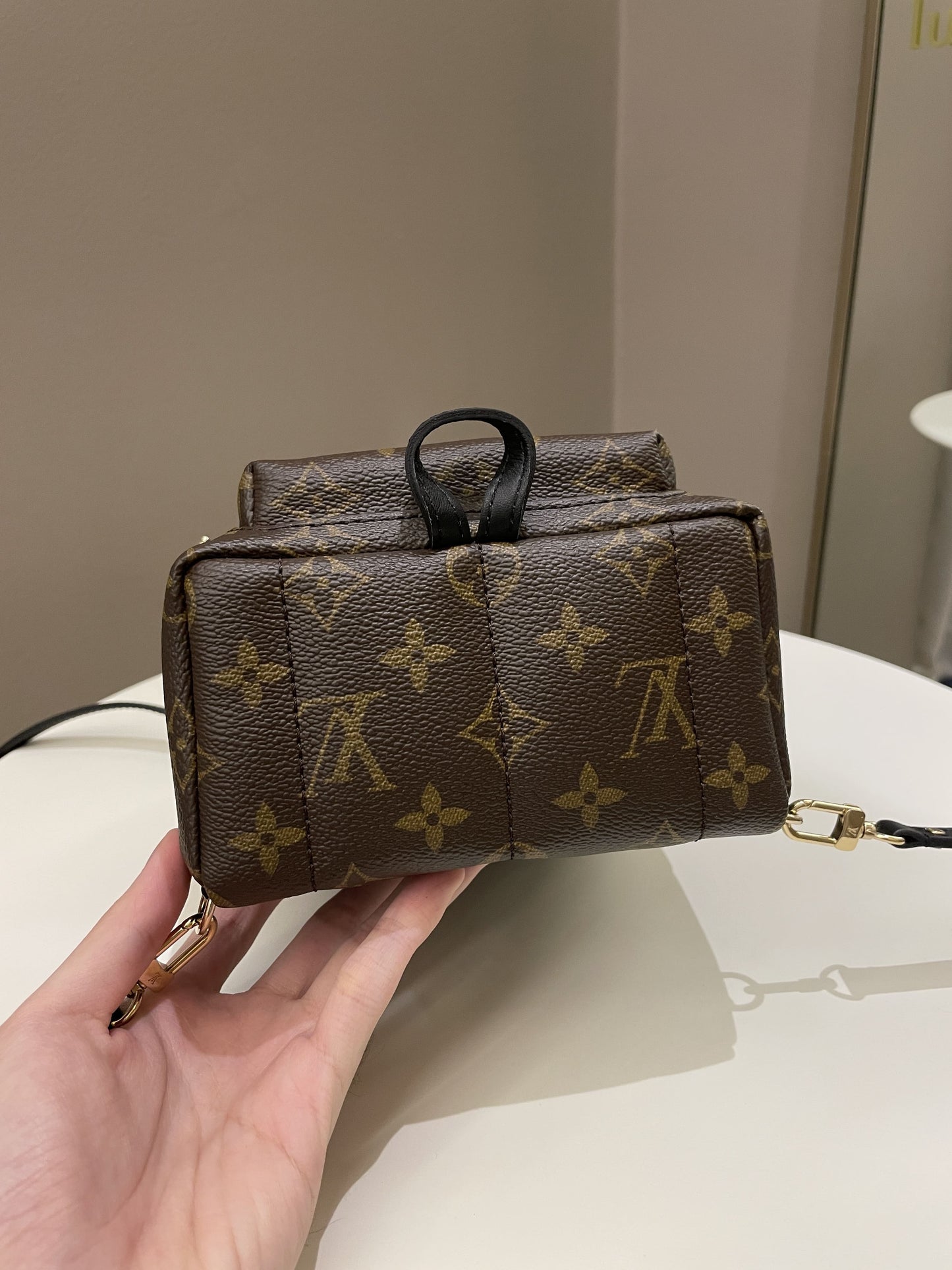 Louis Vuitton Palm Spring Mini Backpack Classic Monogram