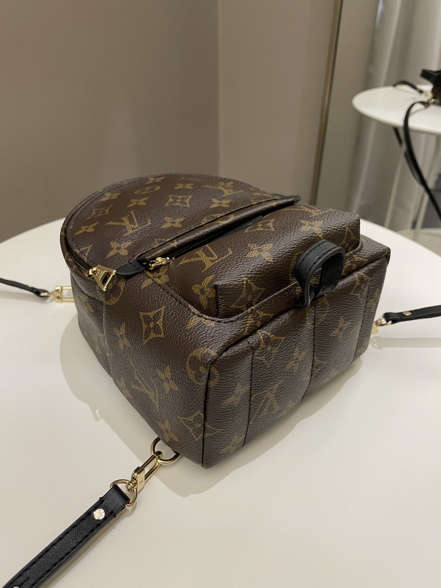 Louis Vuitton Palm Spring Mini Backpack Classic Monogram